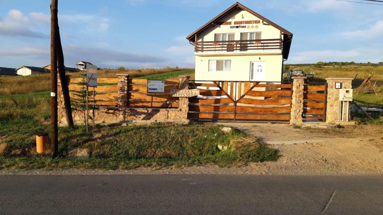 Pensiunea Agroturistica Casa Sirca Boghiş 외부 사진