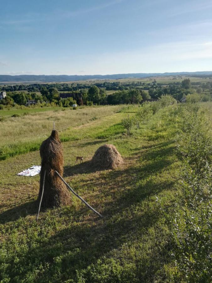 Pensiunea Agroturistica Casa Sirca Boghiş 외부 사진