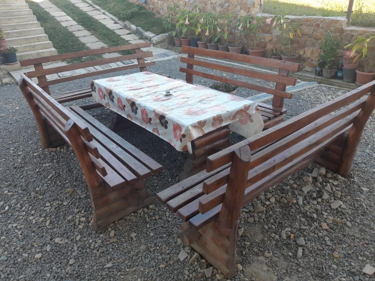 Pensiunea Agroturistica Casa Sirca Boghiş 외부 사진