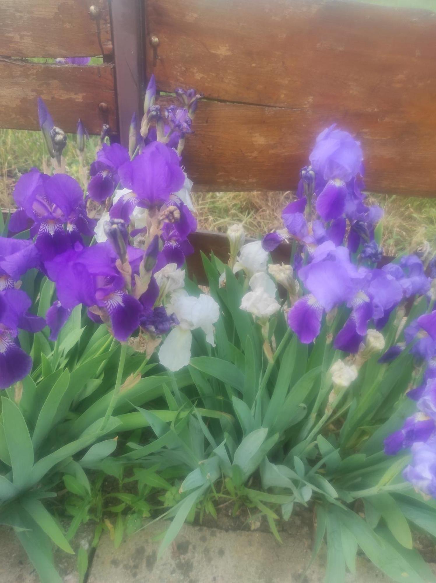 Pensiunea Agroturistica Casa Sirca Boghiş 외부 사진
