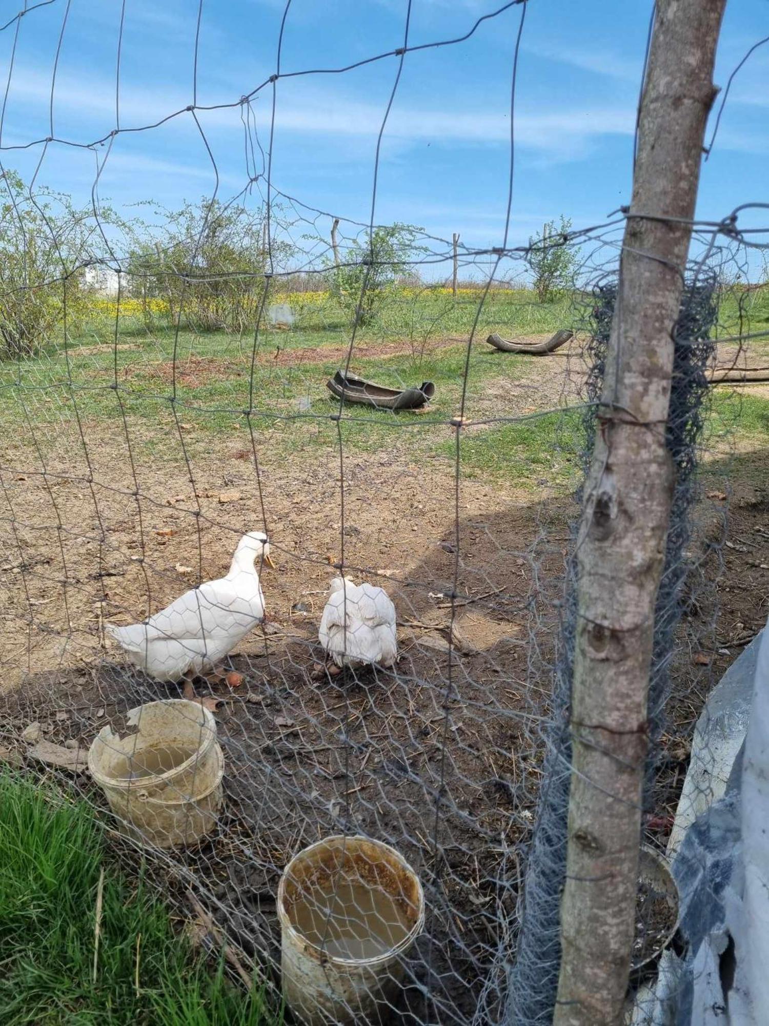 Pensiunea Agroturistica Casa Sirca Boghiş 외부 사진